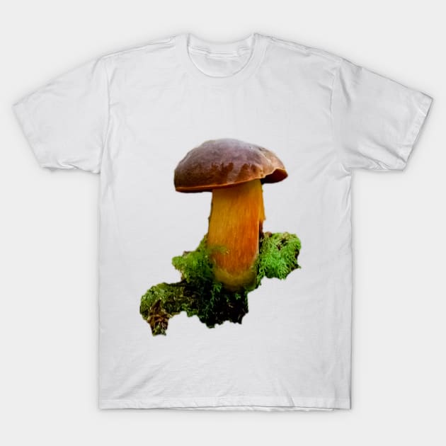 mushroom T-Shirt by rickylabellevie